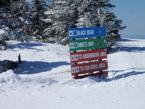 skipistes op Stratton Mountain | Stratton  VT